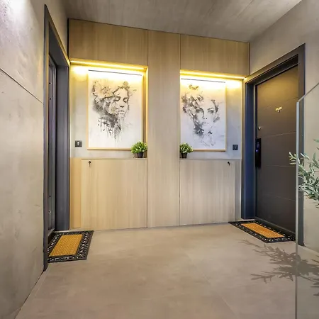 Cocosinella Belgrade