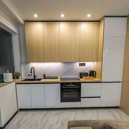 Cocosinella Belgrade