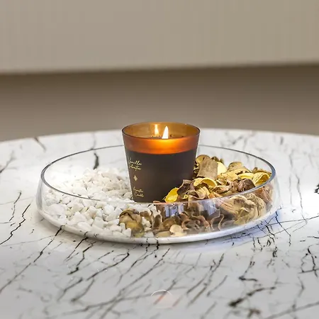 Cocosinella Belgrade *