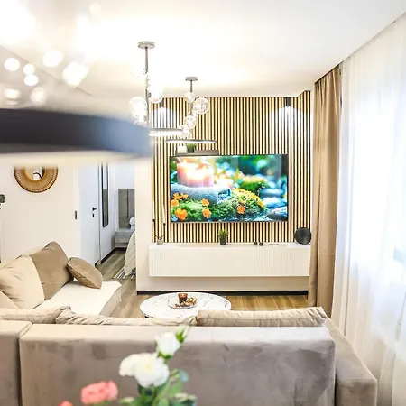 Cocosinella Belgrade