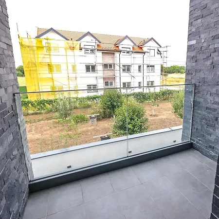 Cocosinella Belgrade *