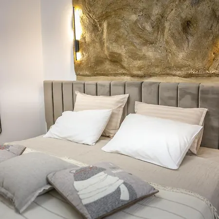 Cocosinella Belgrade