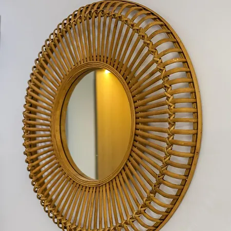 Cocosinella Belgrade Surčin