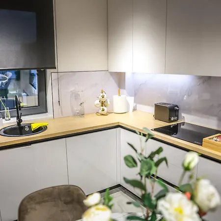 Cocosinella Belgrade * Surčin