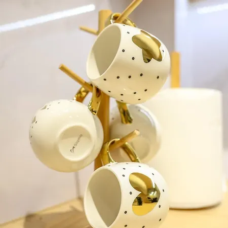 Cocosinella Belgrade *