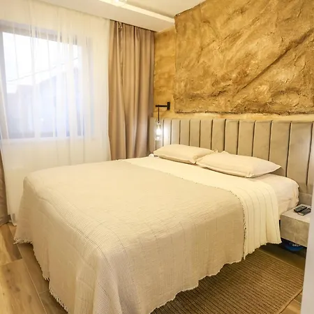 Cocosinella Belgrade *