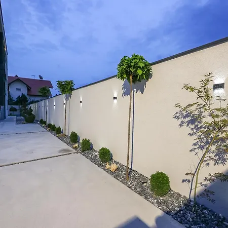 Cocosinella Belgrade Surčin